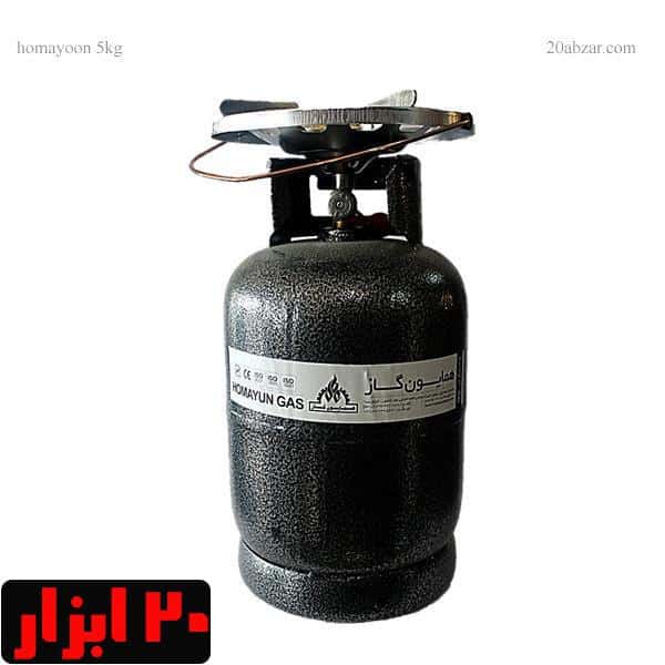 پیک نیک 5 کیلویی همایون