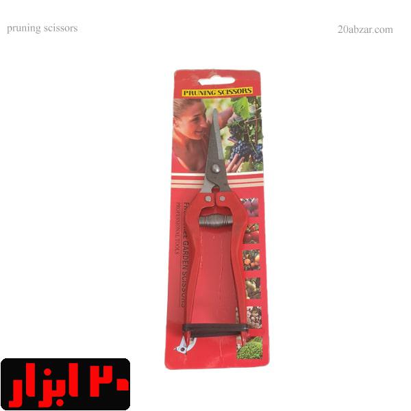 قیچی-میوه-چینی